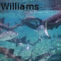 JRWilliams